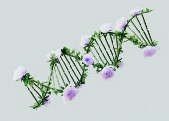 The Rise of “Career DNA”: How AI‑Powered Skill Mapping Reshapes Mobility and Capital