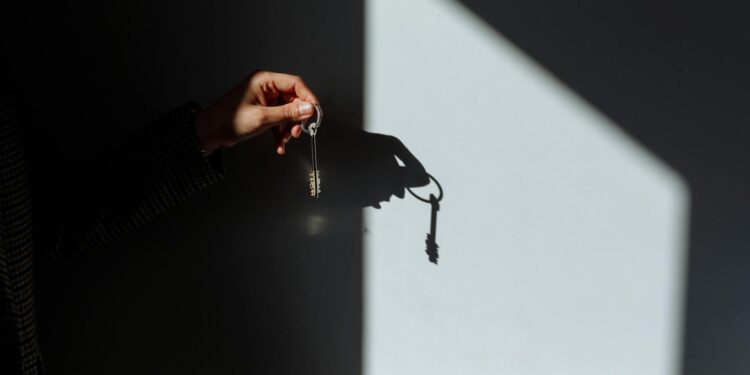The Unseen Engine: How Shadow Work Is Redefining Career Capital and Institutional Power