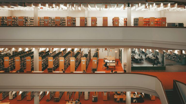 Universities Turn ESG Literacy into a Core Discipline