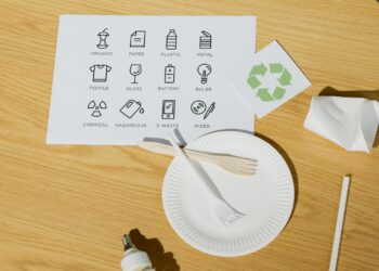 Universities Turn the Tide on E‑Waste: Building Sustainable Infrastructure as a Lever for Career Capital