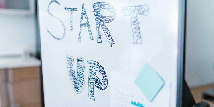 Venture Capital’s Institutional Pivot: From Funding Engine to Diversity Catalyst