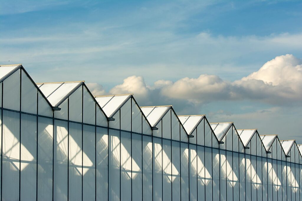 Vertical Farms Reshape the Agrifood System: From Closed‑Loop Tech to New Institutional Power