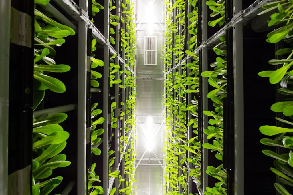Vertical Farms Reshape the Agrifood System: From Closed‑Loop Tech to New Institutional Power