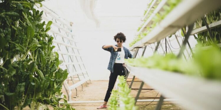 Vertical Farms Reshape Urban Food Systems: A Structural Analysis of Economic Viability and Career Capital