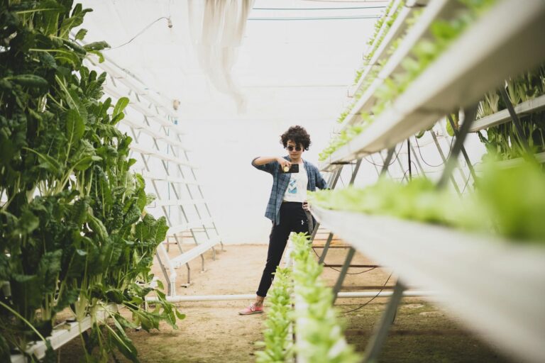 Vertical Farms Reshape Urban Food Systems: A Structural Analysis of Economic Viability and Career Capital