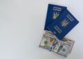Visa Policy as a Lever of Global Talent Allocation