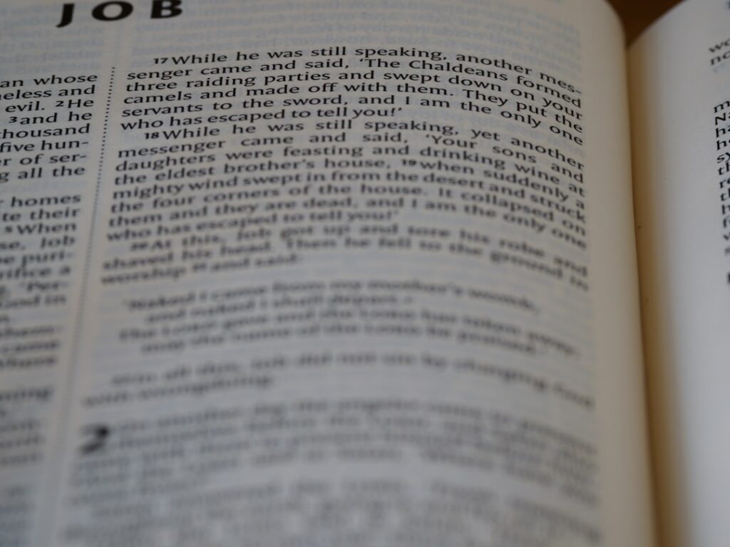 Job Pivots in the Age of AI: Lessons From Mike Mulligan and His Steam Shovel | Workforce Shift