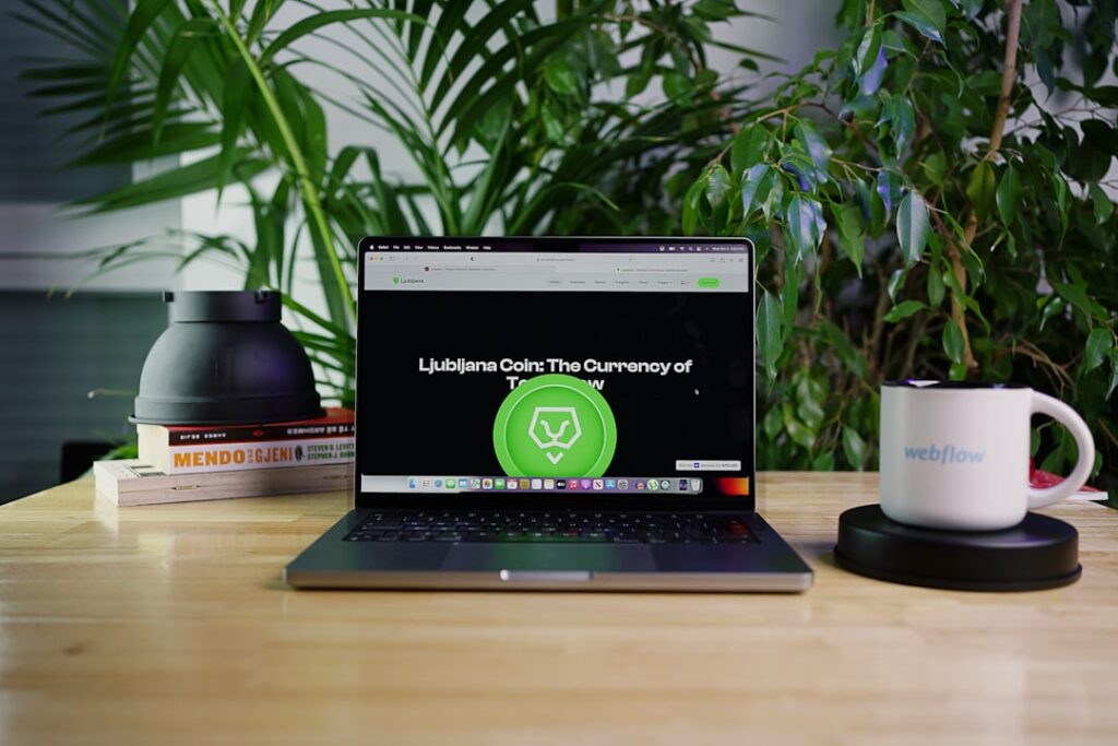 Web3.0’s Valuation Shift: How Decentralized Models Redefine Startup Capital