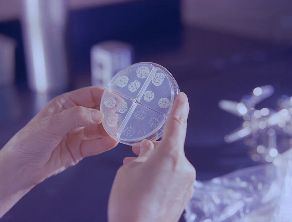 AI’s Role in Combating Antibiotic Resistance