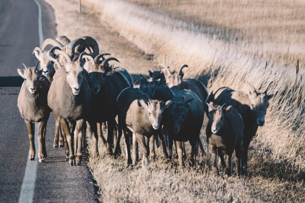 The RAM shortage could last years | Apr 20