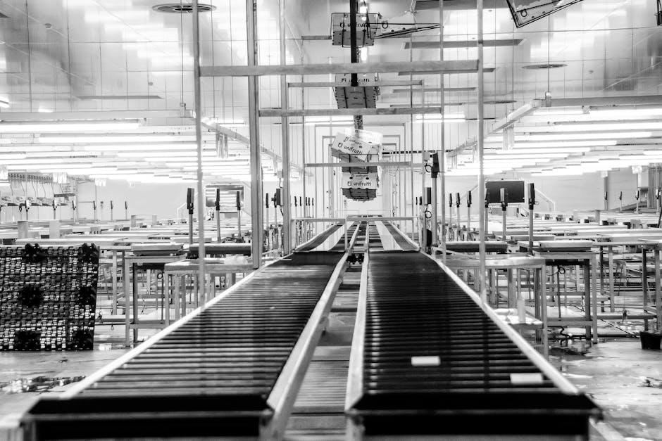 AI Assembly Line Demands Strategic CEO Actions