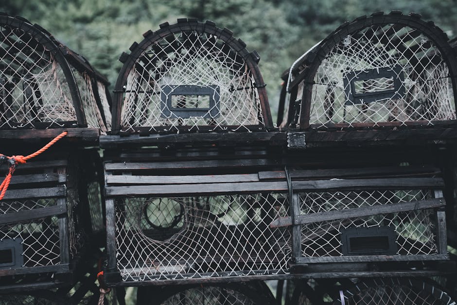 Navigating AI's Agentic Convergence Trap