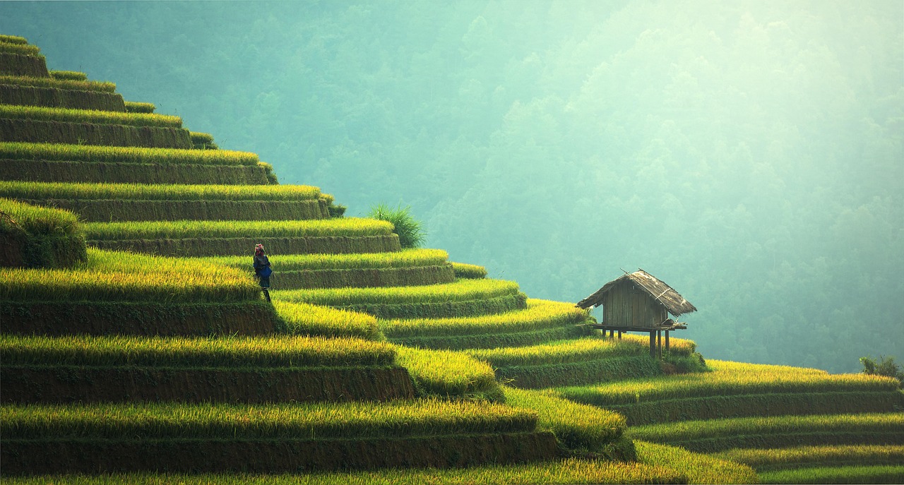 Sustainable AI: Navigating the Path Forward