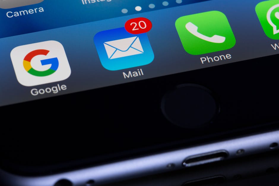 Effective Seasonal Email Strategies for E-commerce | Career Outlook