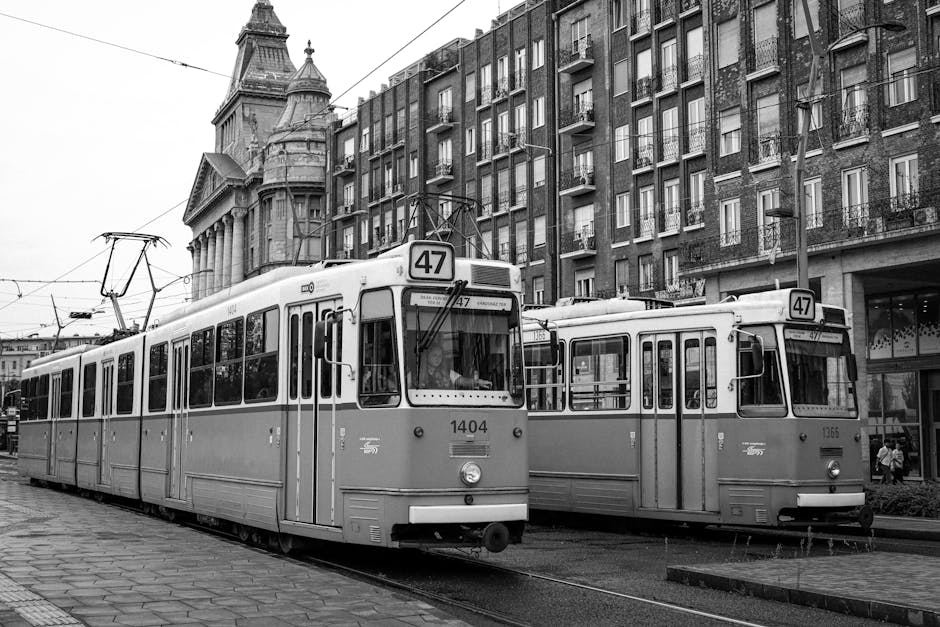 Trams are the best way to get Britain moving | Letter