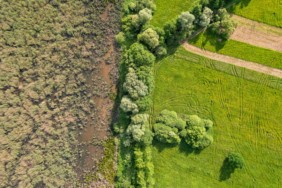 Evaluating Europe’s Conservation Policies: Progress and Challenges