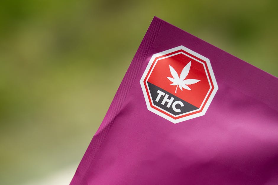 The Cannabis Industry’s New Best Friend? President Trump