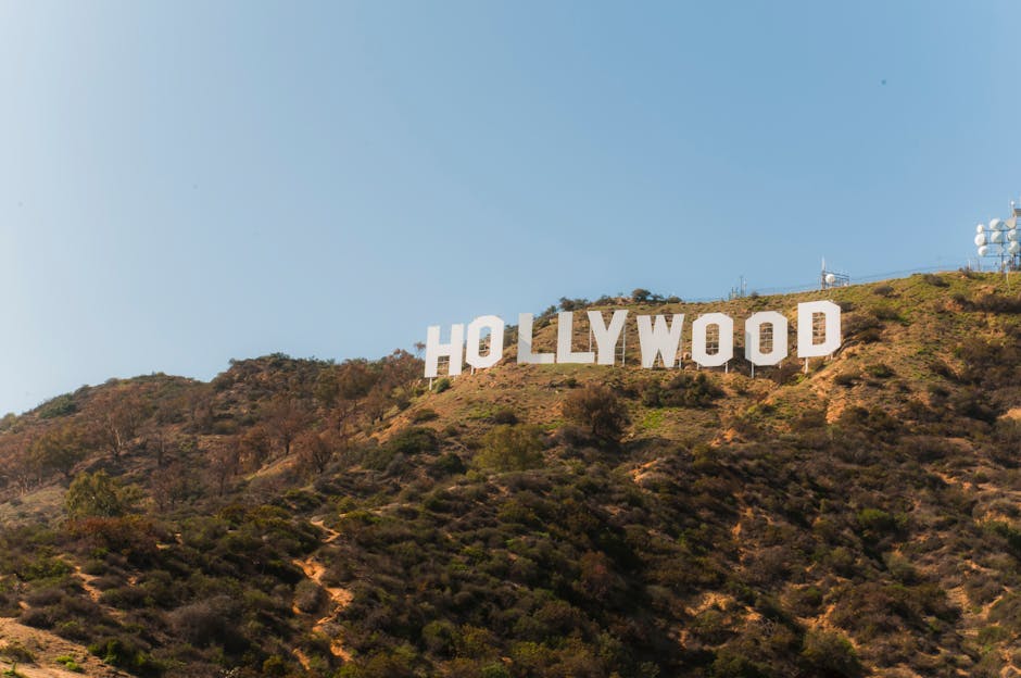 Hollywood Creators Embrace AI Training Shift