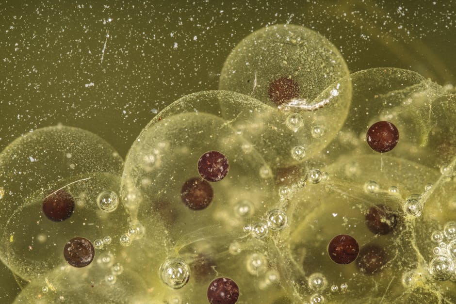 Advancements in IVF: The Future of Reproductive Medicine