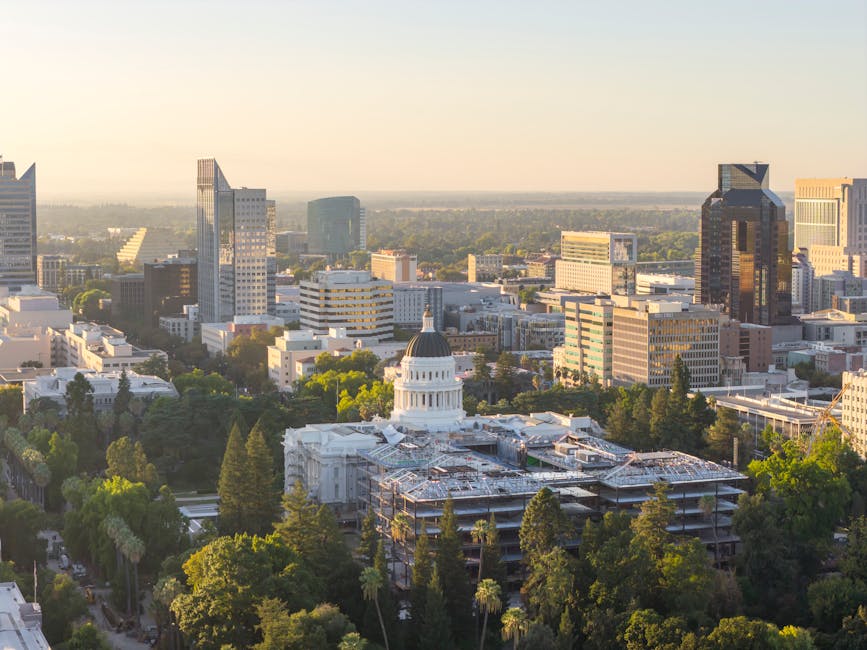 California's Proposal to Safeguard Workers from AI Displacement | Career Outlook