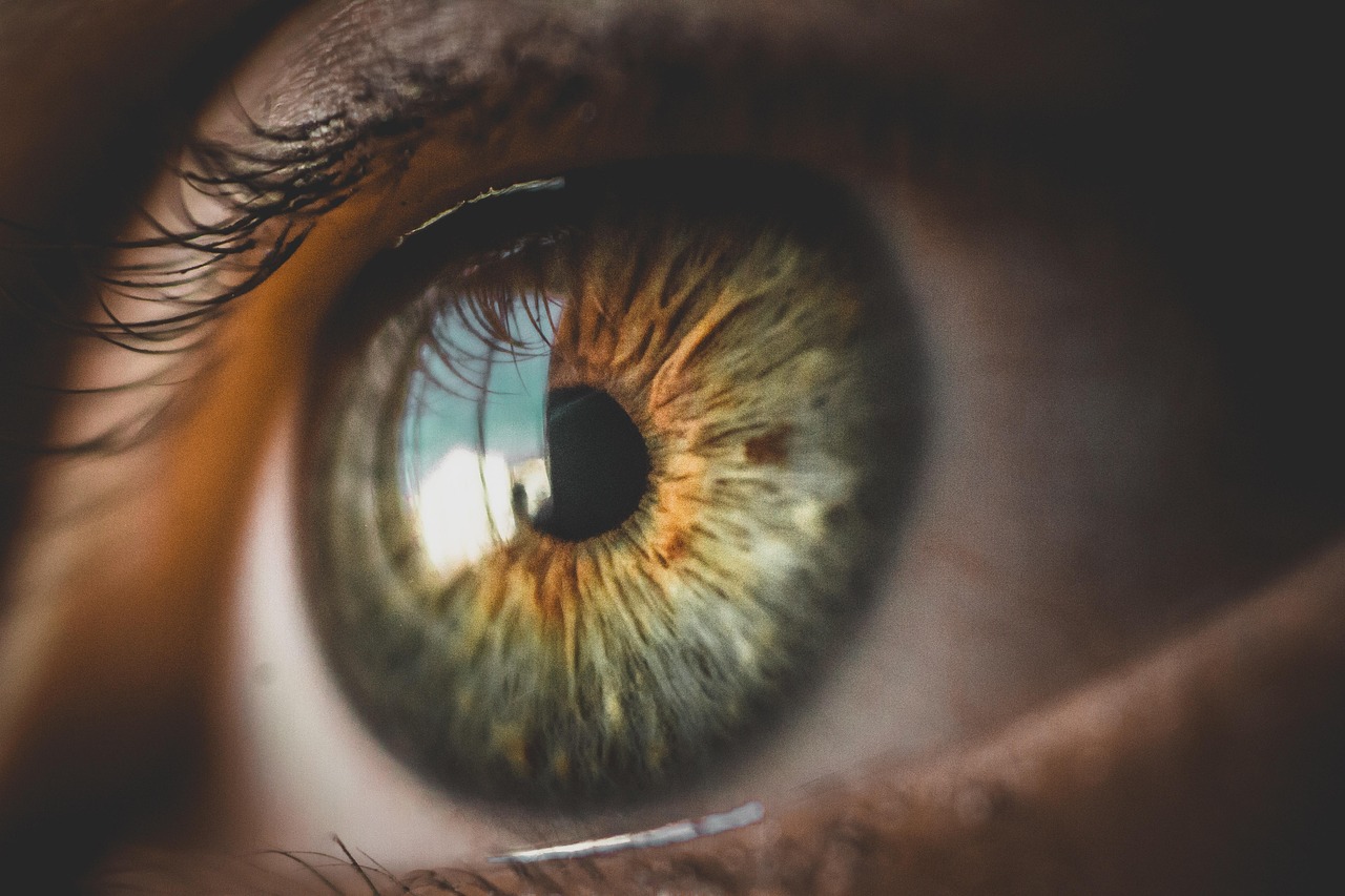 The One Question That Reveals Whether Your AI Strategy Is Creating Value or Risk