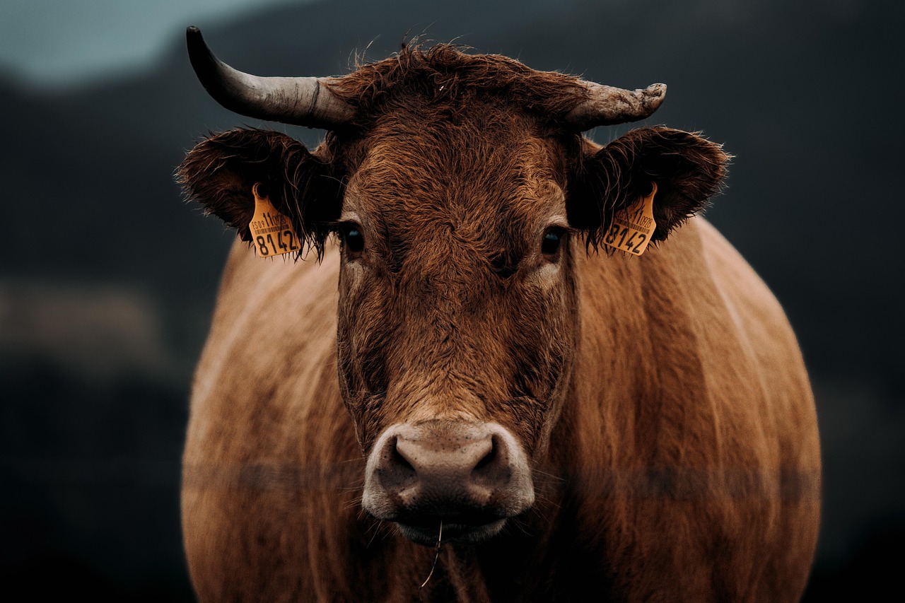 Vaca Muerta Powers Argentina's Energy Revolution