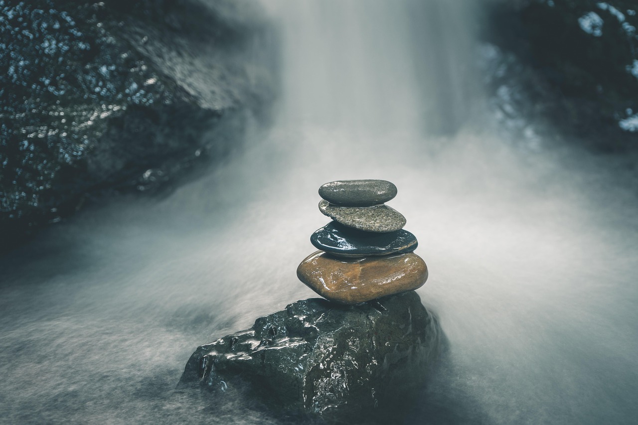 Balancing Efficiency and Resilience in Business