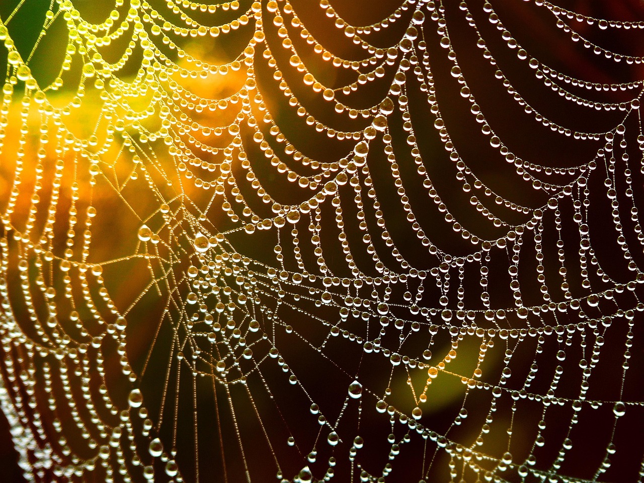 Agentic Convergence Trap Sparks Cautionary Debate