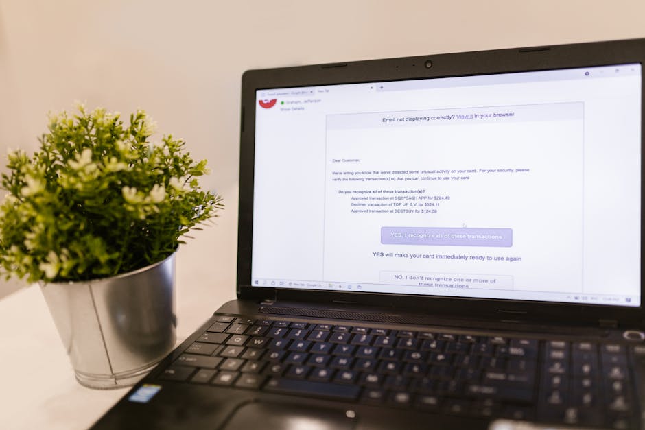 Email Deliverability Strategies to Bypass Spam Filters | Career Outlook