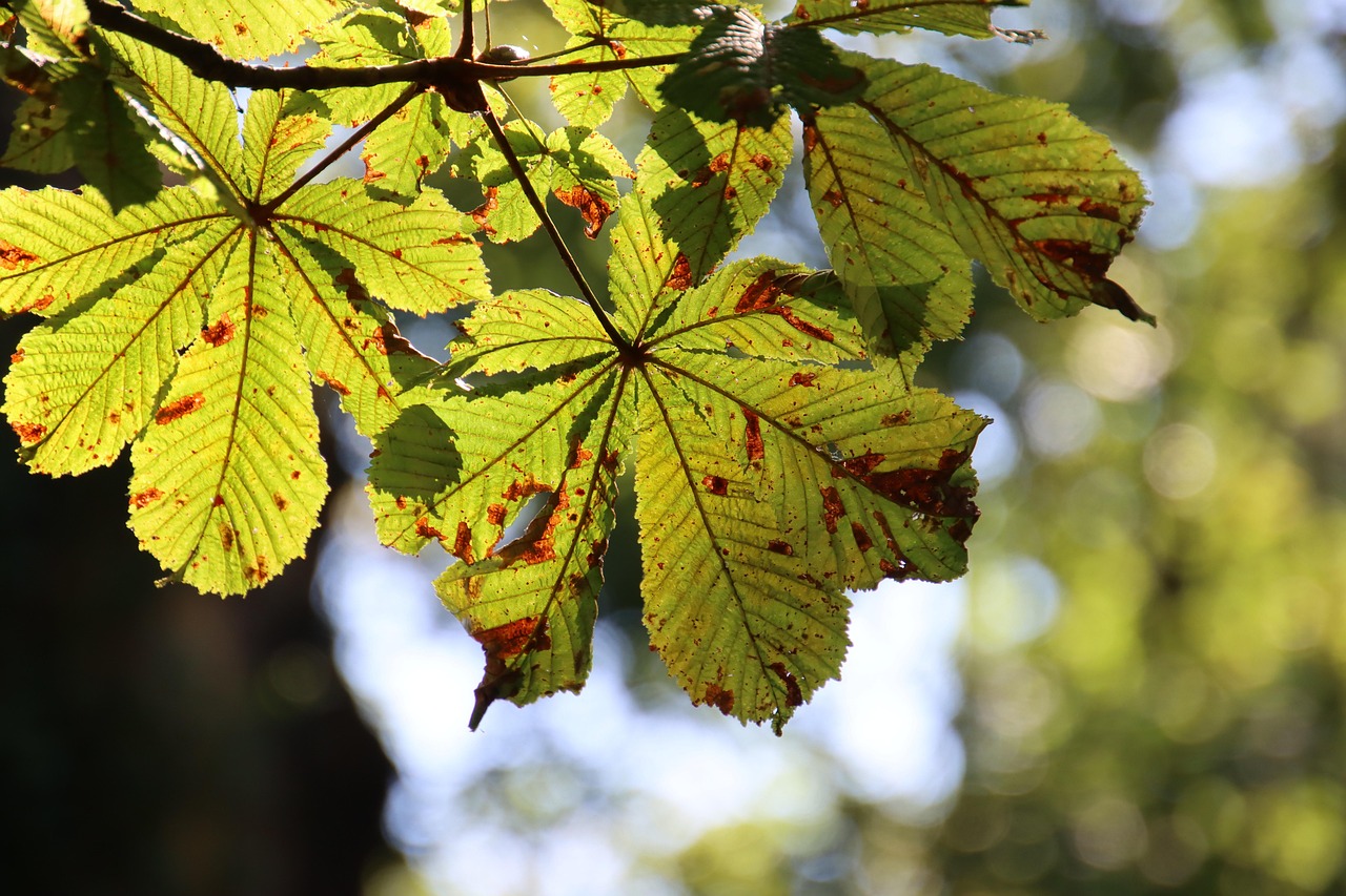 Navigating the Complexities of Seasonal Hiring