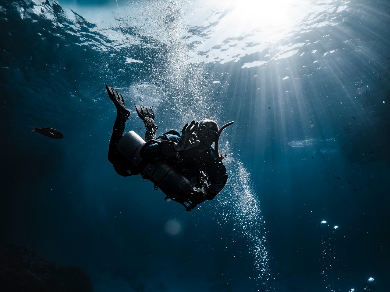 Seafloor Science and Military Chatbots Transforming Industries