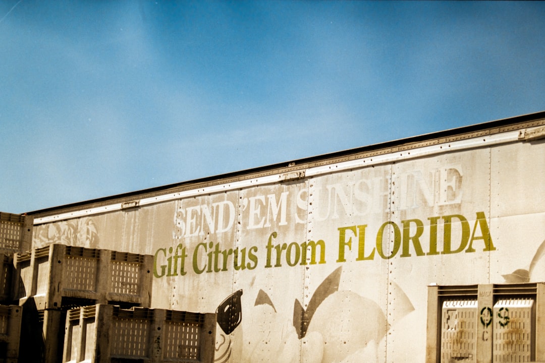 Florida's New Conservative History Course Challenges A.P. Standards