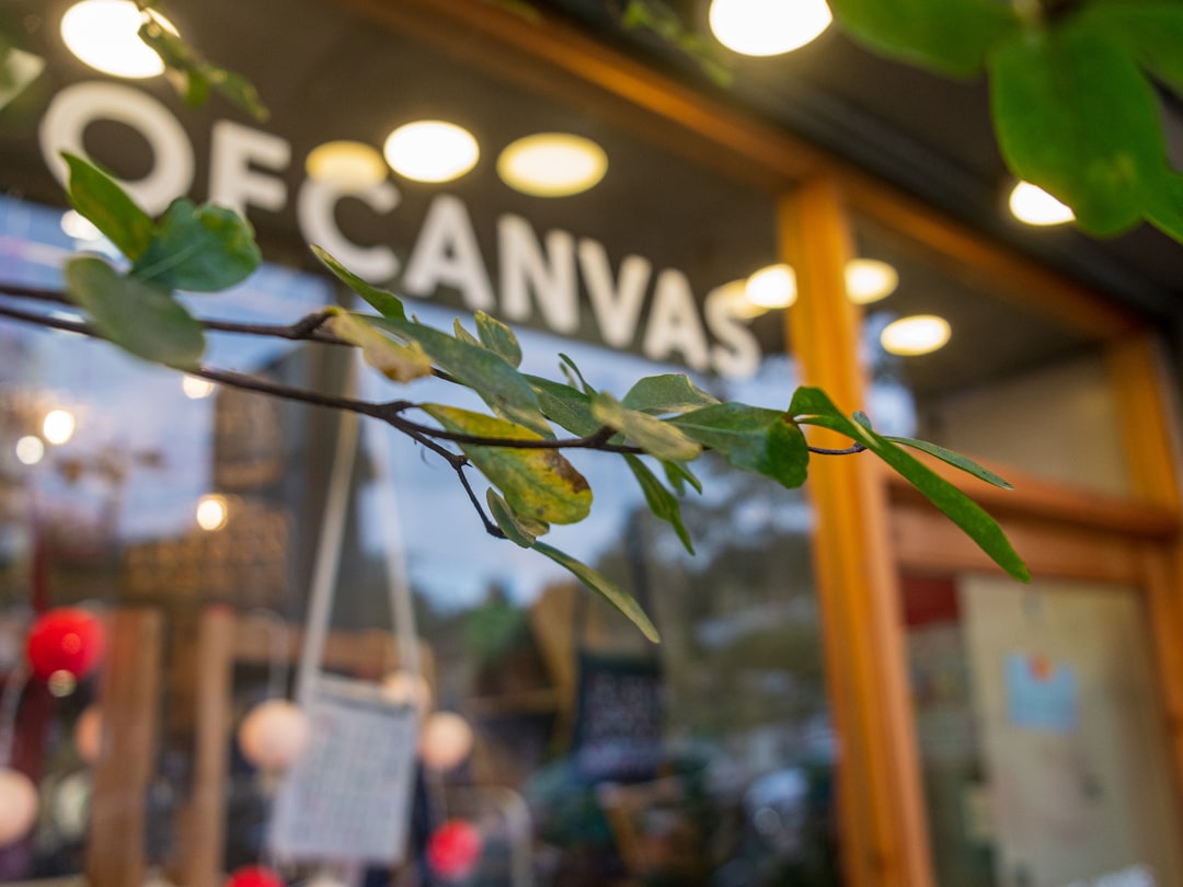 Canvas Reaches Deal with Hackers to Erase Stolen Data