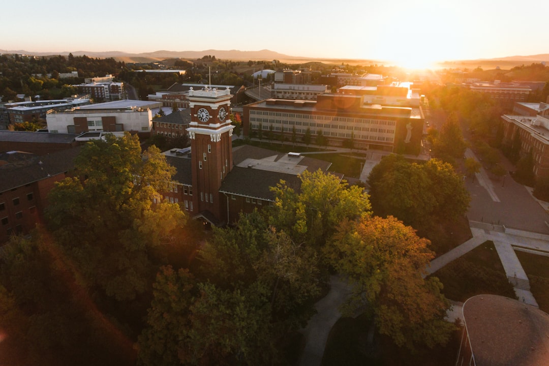 BTech Admissions Spotlight: Top High-Paying Courses