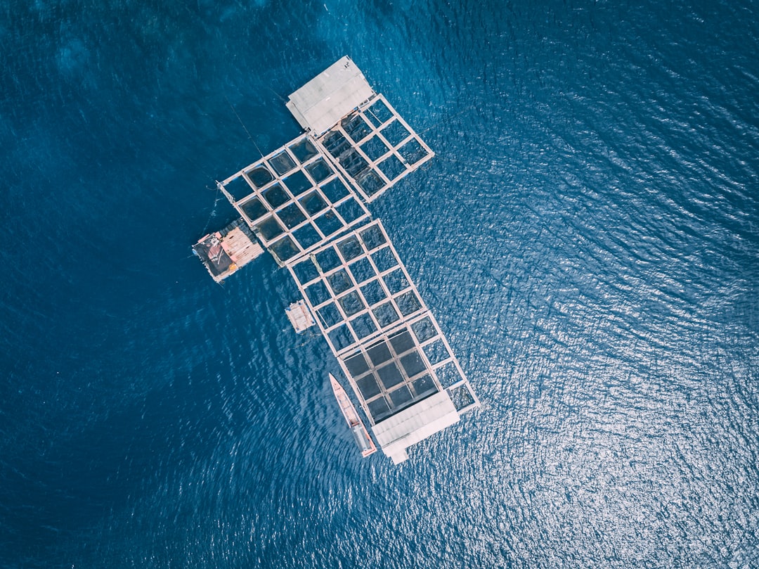 Solar booms in industrial US midwest as energy crisis persists