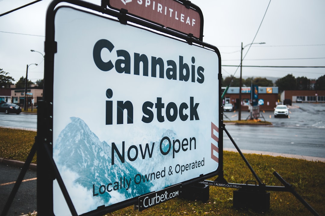 The Cannabis Industry’s New Best Friend? President Trump