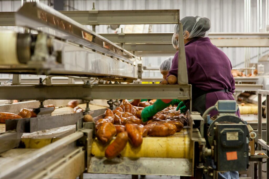 AI‑Driven Digital Twins Reshape Food Manufacturing: From Quality Defects to Career Capital