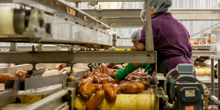 AI‑Driven Digital Twins Reshape Food Manufacturing: From Quality Defects to Career Capital