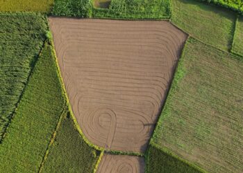Ancient Soil Wisdom Meets AI: Building a Structural Resilience Engine for Global Agriculture