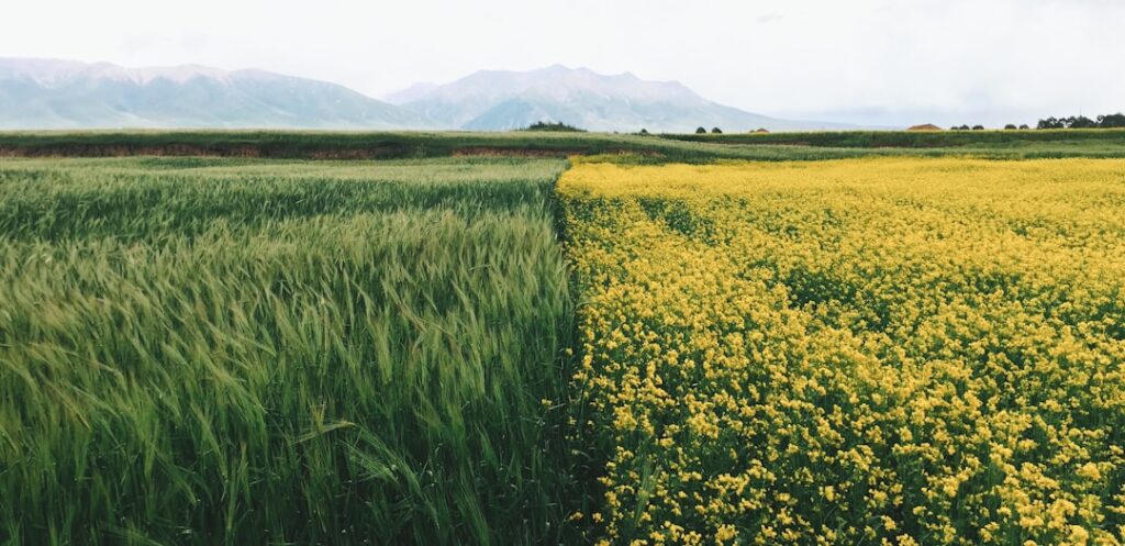 Ancient Soil Wisdom Meets AI: Building a Structural Resilience Engine for Global Agriculture
