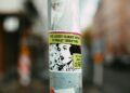 Art‑Infused Climate Mobilization: How Creative Mediation Reshapes Institutional Power and Career Capital