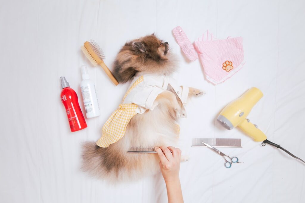 Lily Launches Clothing Brand While Working Full-Time | Career Outlook
