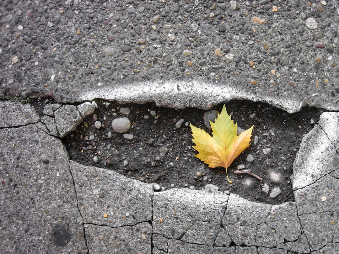 AI-Powered Solutions to Pothole Problems