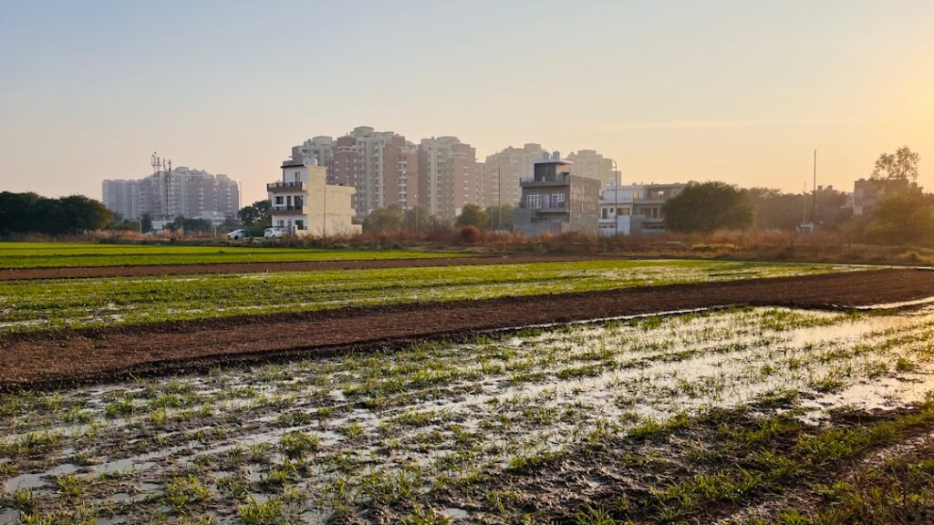 City Farms as Institutional Levers: How Urban Agriculture Reshapes Ecosystems, Labor Markets, and Mobility