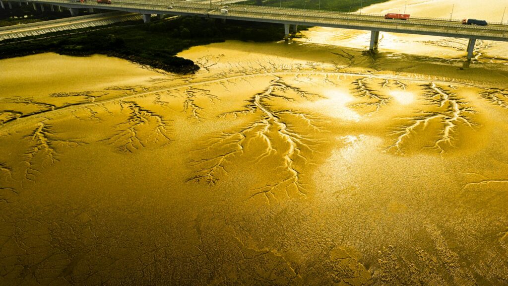 Climate Governance Evolves with AI