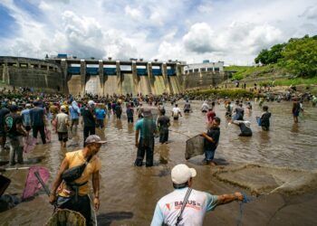 Community‑Embedded Conservation: How Local Networks Reshape Global Environmental Outcomes