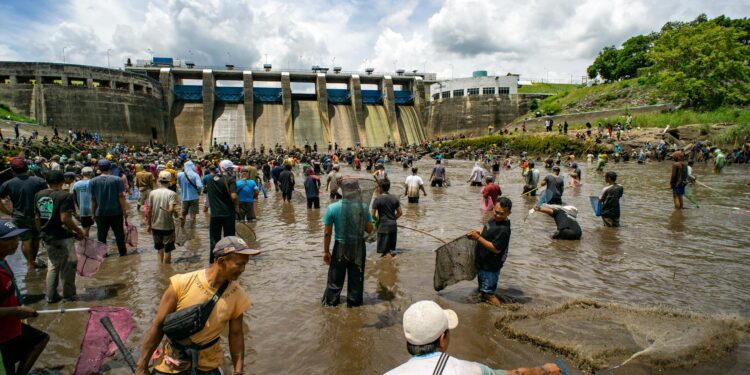 Community‑Embedded Conservation: How Local Networks Reshape Global Environmental Outcomes