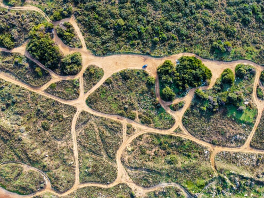 Community‑Embedded Conservation: How Local Networks Reshape Global Environmental Outcomes
