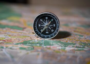 Conservation‑Travel Fusion: Mapping the New Frontier of Career Capital