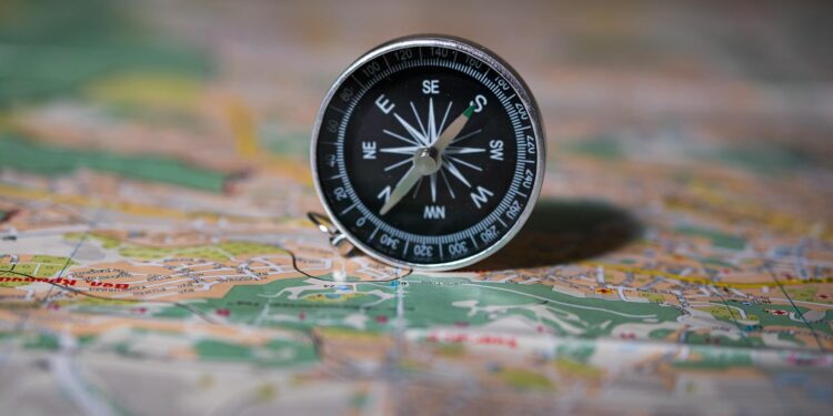 Conservation‑Travel Fusion: Mapping the New Frontier of Career Capital